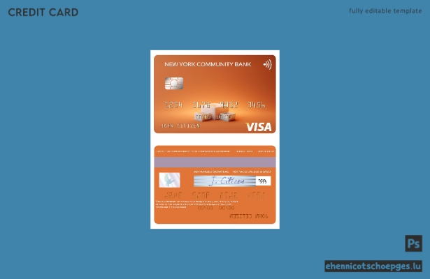 USA New York Community Bank Visa-Kartenbeispiel (Vorschau)